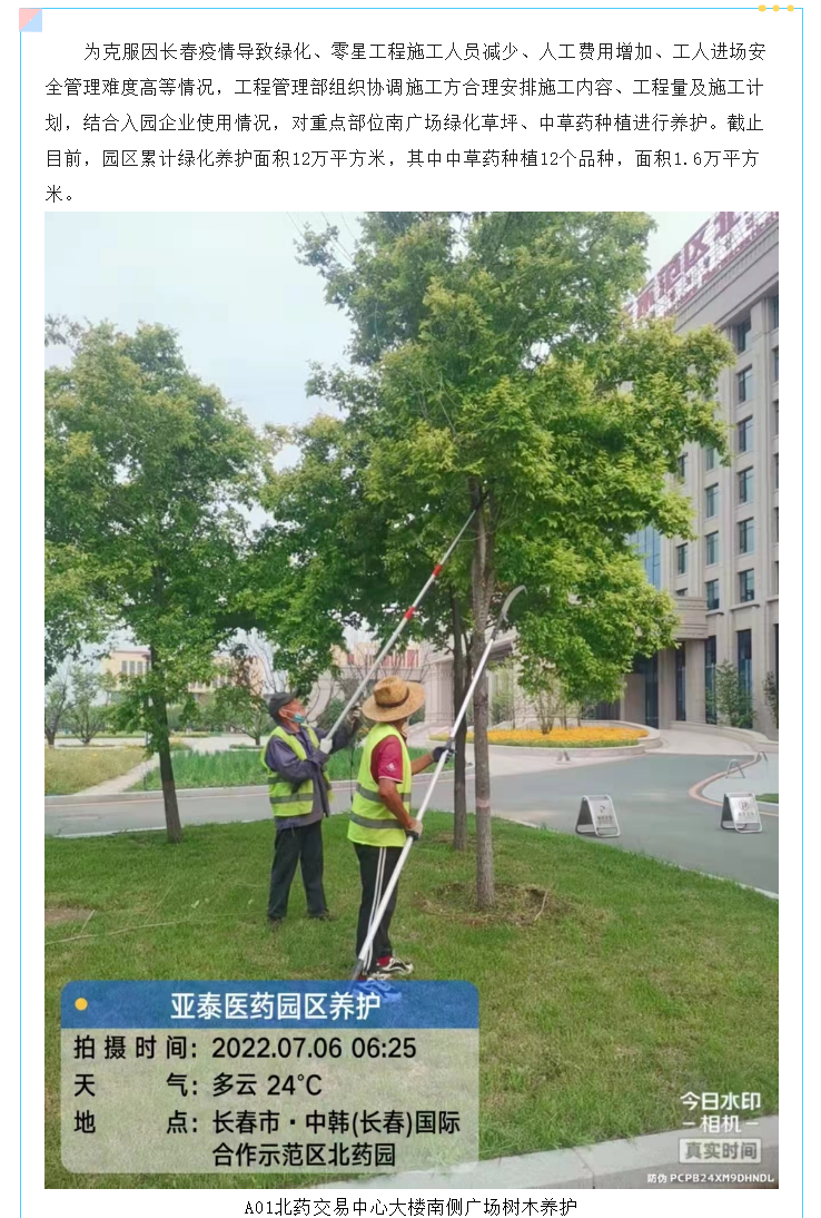 中韩亚泰北药园美化园区绿化 打造企业宜“居”环境 (2).png