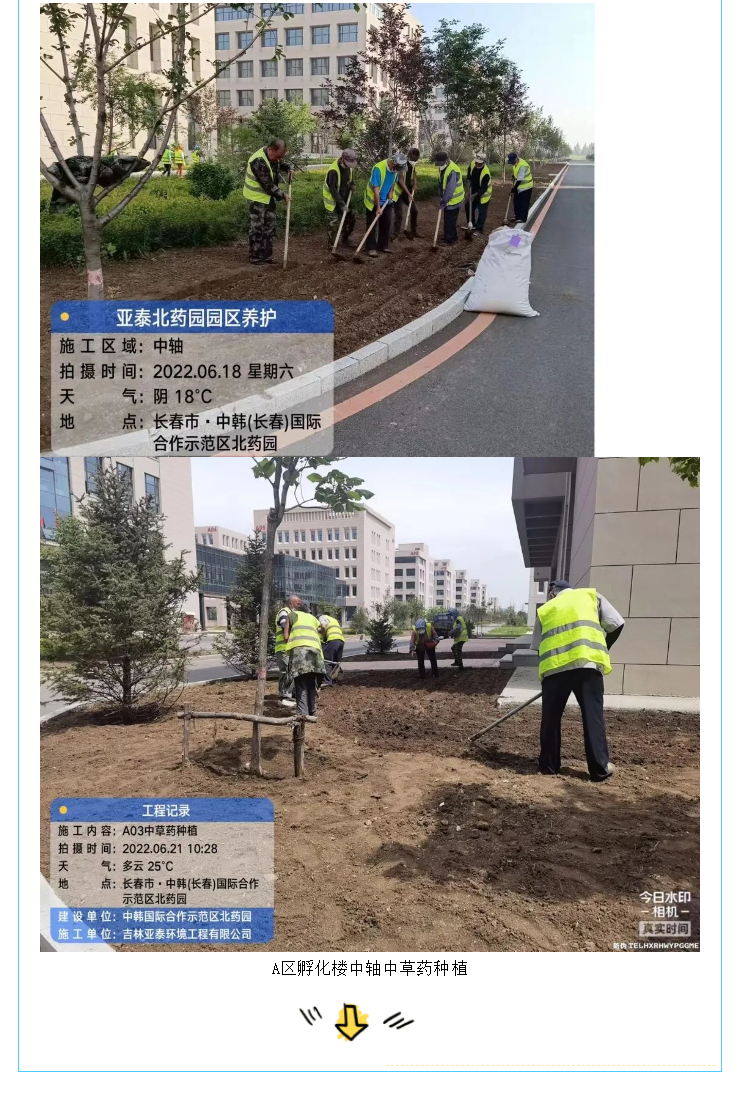 中韩亚泰北药园美化园区绿化 打造企业宜“居”环境 (5).png