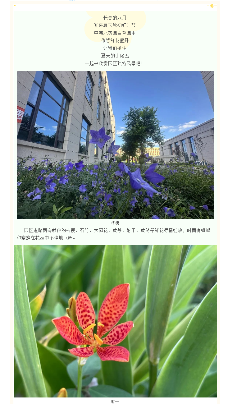 【园区物业】中韩北药园_夏末的百草园 美景如斯 (1).png