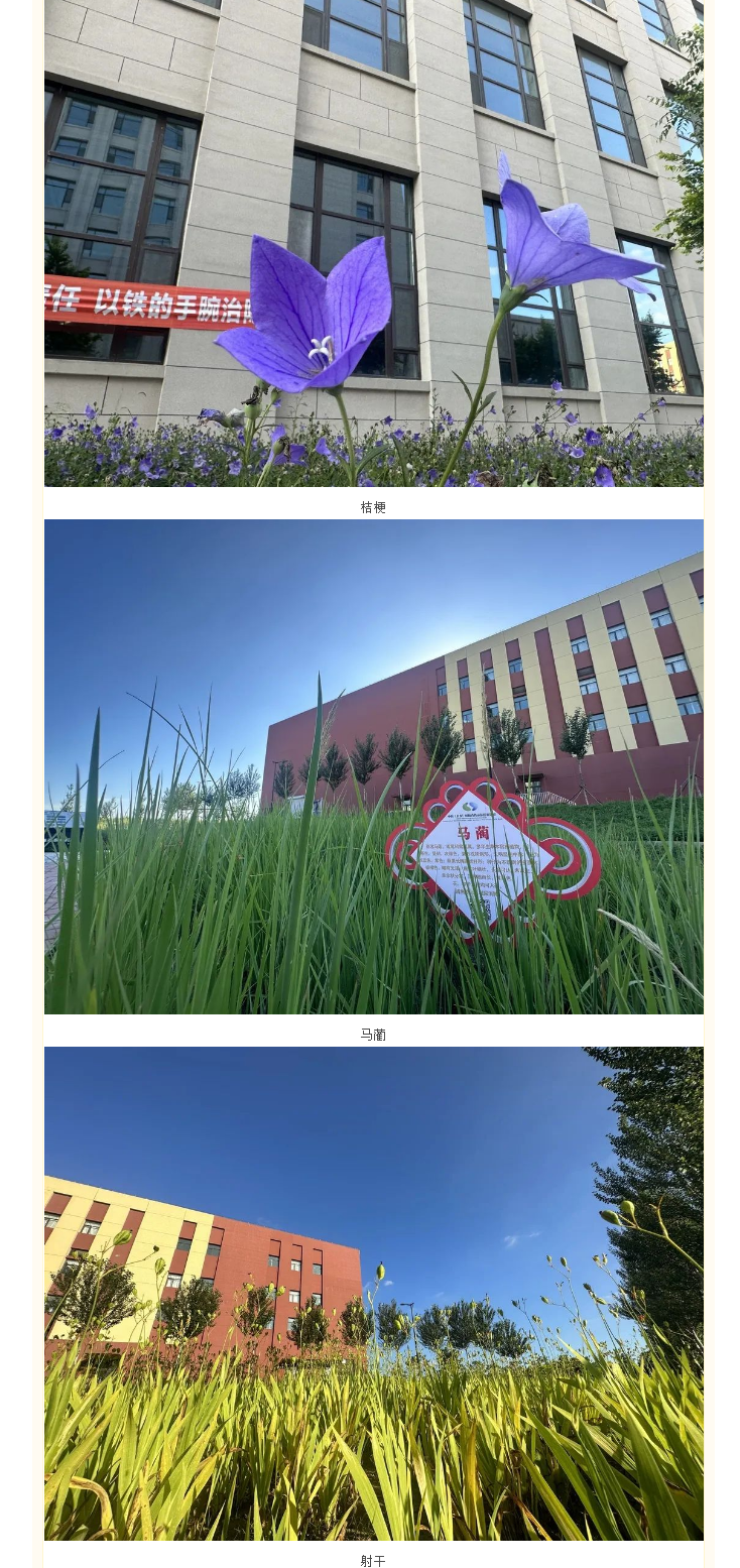 【园区物业】中韩北药园_夏末的百草园 美景如斯 (3).png