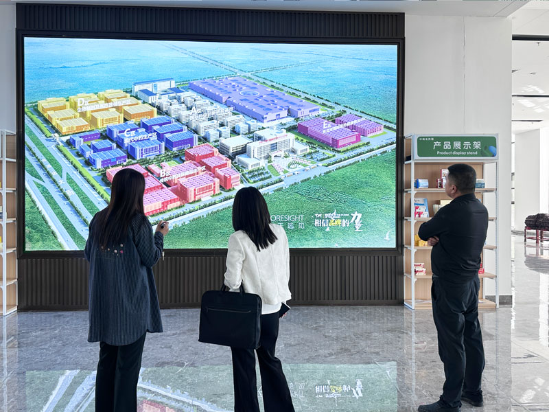 68ca1ea6a3617.jpg 489.jpg