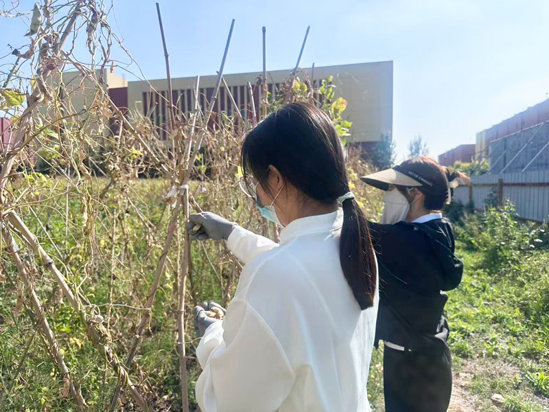 68cccc0adcd2c.jpg 88eb29a764874a088d41baa4fe067f29.jpg