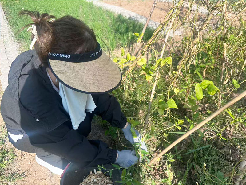 68cccc1391b5c.jpg 189.jpg