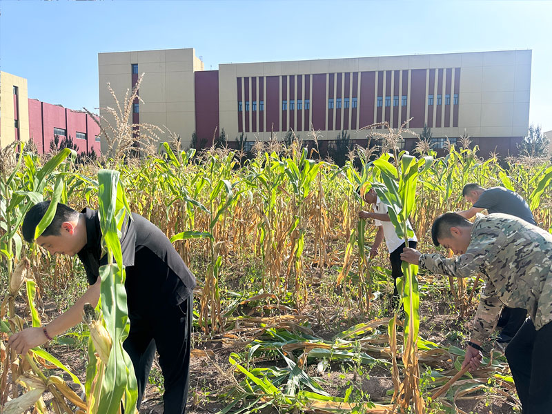 68cccc23f047f.jpg 49.jpg