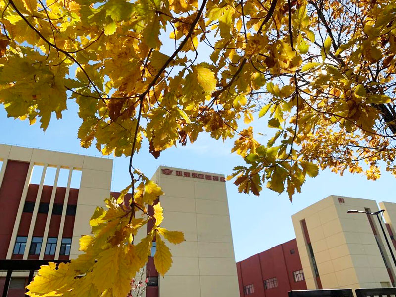 69018311da849.jpg 9b6053351cc22049c7708624b2aa6fe1.jpg