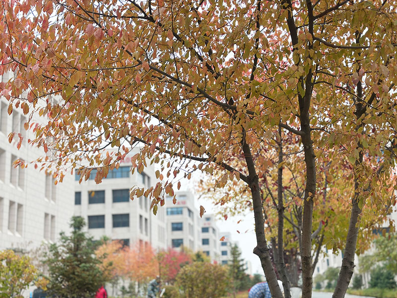 6901831cb9568.jpg 489.jpg