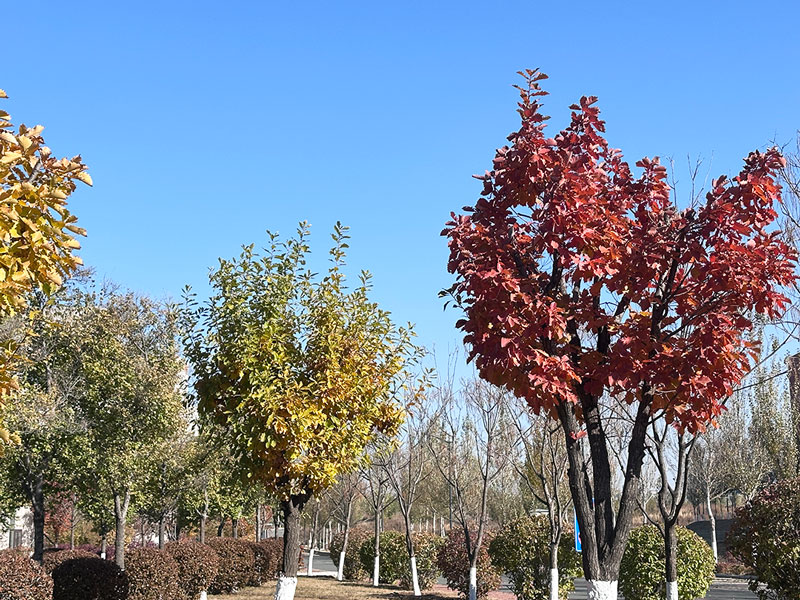 69018324cc60f.jpg 68541.jpg